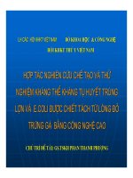 Hợp tác nghiên cứu chế tạo và thử nghiệm kháng thể kháng tụ huyết trùng (THT) lợn và E.coli được chiết tách từ lòng đỏ trứng gà bằng công nghệ mới