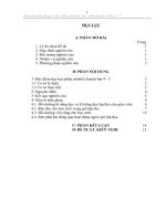 skkn rèn kỹ năng đọc cho học sinh dân tộc thiểu số