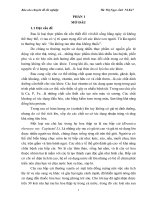 Điều tra thành phần sâu hại, thiên địch của chúng và diễn biến một số sâu hại chính trên rau bắp cải, vụ xuân hè năm 2013 tại xã mường kim   huyện than uyên   tỉnh lai châu 