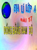 bài giảng địa lý lớp 4 Bài 17  đồng bằng nam bộ
