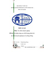 Bài tiểu luận Giải pháp nâng cao chất lượng phân tích tài chính doanh nghiệp tại Công ty Rạng Đông