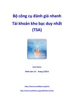 Bộ công cụ đánh giá nhanh Tài khoản kho bạc duy nhất (TSA)