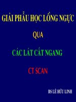 GIẢI PHẪU HỌC LỒNG NGỰC QUA CÁC LÁT CẮT NGANG CT SCAN