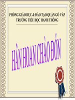 bài giảng lịch sử lớp 4 Nhà nguyễn thành lập