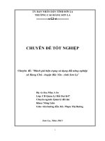 Đánh giá hiện trạng sử dụng đất nông nghiệp xã hang chú   huyện bắc yên   tỉnh sơn la 
