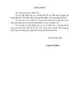 Đánh giá tình hình thực hiện quy hoạch sử dụng đất của huyện thuận châu, tỉnh sơn la giai đoạn 2000   2010 