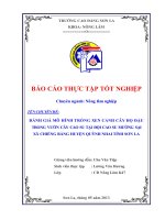 Đánh giá mô hình trồng xen canh cây họ đậu trong vườn cây cao su tại đội cao su mường sại xã chiềng bằng huyện quỳnh nhai tỉnh sơn la 