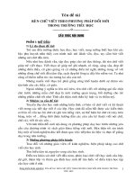 rèn chữ viết theo phương pháp đổi mới trong trường tiểu học