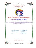 Nghiên cứu quy trình sử dụng giá thể thân cây ngô để trồng nấm sò tím (oyter muhroom) 