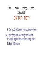 bài giảng tiếng viejt ôn tập tiết1