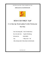 Báo cáo thực tập: Phân tích Tình hình thực hiện nhiệm vụ sản xuất kinh doanh của Doanh nghiệp Tư nhân Thương mại  Thu Thủy
