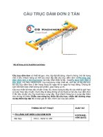Thông số kỹ thuật cầu trục dầm đơn 2 tấn