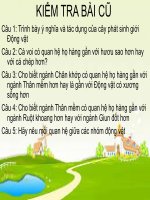 Tiết 60  bài 57  đa DẠNG SINH học