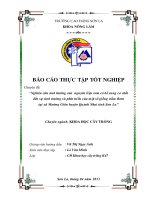 Nghiên cứu ảnh hưởng của nguyên liệu rơm có bổ sung cơ chất đến sự sinh trưởng và phát triển của một số giống nấm rơm tại xã mường giôn, huyện quỳnh nhai, tỉnh sơn la 