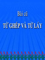 bài giảng luyện từ và câu lớp 4 luyện tập từ ghép và tù láy