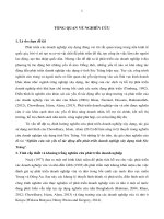 Nghiên cứu các yếu tố tác động đến phát triển doanh nghiệp xây dựng tỉnh sóc trắng