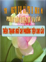 bài giảng luyện từ và câu lớp 4  thêm trạng ngữ chỉ phương tiện cho câu