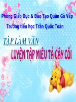 bài giảng tập làm văn 4 xây dựng bài văn tả cây cối