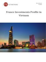 Hồ sơ đầu tư nước ngoài của Pháp tại Việt Nam
