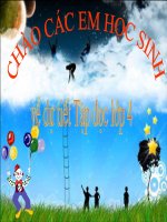 bài giảng tập đọc lớp 4 bài anh hùng trần đại nghĩa