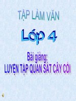 bài giảng tập làm văn lớp 4 luyện tập quan sát cây cối