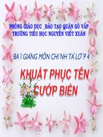 bài giảng chính tả lớp 4 bài những hạt thóc giống