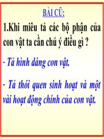 bài giảng tập làm văn lớp 4 luyện tập đoạn văn miêu tả con vật