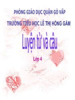 bài giảng luyện từ và câu tuần 17