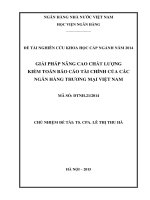 GIẢI PHÁP NÂNG CAO CHẤT LƯỢNG KIỂM TOÁN BÁO CÁO TÀI CHÍNH CỦA CÁC NGÂN HÀNG THƯƠNG MẠI VIỆT NAM