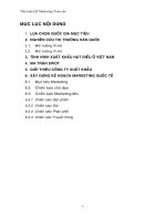 Tiểu luận QT marketing toàn cầu