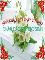 Bài 58  Tuyến sinh dục