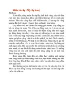 bài văn tả lớp 4 hay nhất