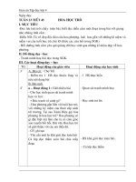 HOA HỌC TRÒ TUẦN 23 TIẾT 45