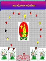 công tác đội TNTPHCM