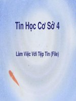 Tin học cơ sở 4 FILE