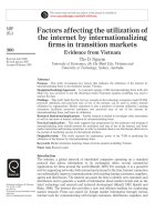 Factors affecting the utilization of the internet by internationalizing firms in transition markets evidence from vietnam