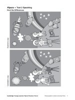 Flyers speaking test 2