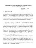 Tiểu luận xử lý nền đất yếu ước tính độ lún của nền đắp được gia cố bằng bấc thấm ở sân bay quốc tế băng cốc 2