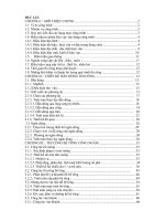 Thiết kế tổ chức thi công cống lấy nước đá đen