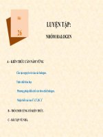 Khái quát về nhóm halogen