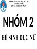 Bài thuyết trình hệ sinh dục nữ