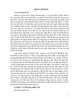 Sáng kiến kinh nghiệm về trường PTDTBT hay và hiệu quả các trường bán trú học