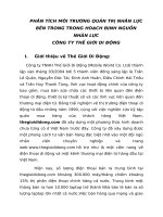 Bài tiểu luận Phân tích môi trường quản trị nhân lực bên trong trong hoạch định nguồn nhân lực Công ty Thế giới di động