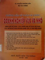 Ebook hướng dẫn kế toán tài chính doanh nghiệp vừa và nhỏ  phần 1