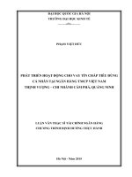 Phát triển hoạt động cho vay tín chấp tiêu dùng cá nhân tại ngân hàng TMCP việt nam thịnh vượng   chi nhánh cẩm phả, quảng ninh 