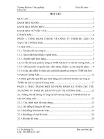 Báo cáo thực tập: Thực trạng một số phần hành kế toán chủ yếu tại công ty TNHH du lịch và vận tải Cường Anh