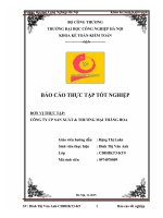 Kế toán Vốn bằng tiền, Kế toán tiền lương, Kế toán bán hàng và xác định kết quả bán hàng tại Công Ty CP Sản xuất  Thương mại Thăng Hoa