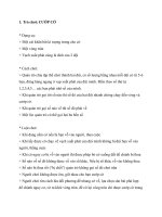 NGHỊ LUẬN XÃ HỘI VỀ TRÒ CHƠI CƯỚP CỜ