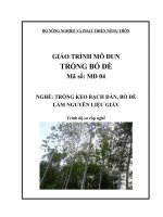 Giáo trình trồng bồ đề   mđ04 trồng keo, bồ đề, bạch đàn làm nguyên liệu giấy
