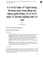 Cơ sở lý luận về Ngân hàng thương mại, hoạt động tín dụng ngân hàng và cơ sở lý luận về doanh nghiệp nhỏ và vừa